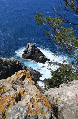 Vahşi sahilde güneşli bir gün Porquerolles Adası, Kayalık ve deniz, Fransa, yüksek kaliteli fotoğraf