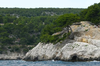 Marsilya, Fransa - 9 Haziran 2024: Calanque of Marsilya Provence, Calanques Ulusal Parkı bir tekne turunda görüldü.