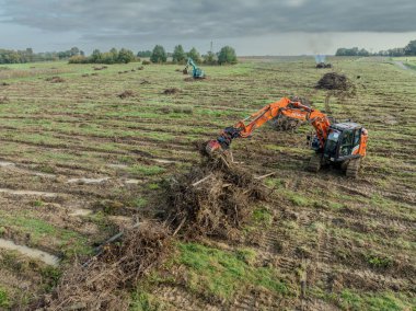 FRANCE, GIRONDE, NAUJAN-ET-POSTIAC, BORDEAUX VINEYARD UPROOTING CAMPAIGN WITH BACKHOE LOADER. High quality photo clipart