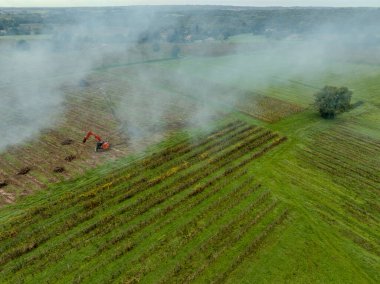 FRANCE, GIRONDE, NAUJAN-ET-POSTIAC, BORDEAUX VINEYARD UPROOTING CAMPAIGN WITH BACKHOE LOADER. High quality photo clipart