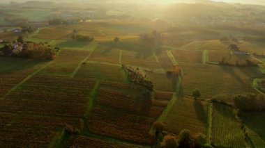 Bordeaux üzüm bağları, Bordeaux üzüm bağları, sonbaharda gün batımında Bordeaux üzüm bağları, Entre deux mers, Sainte-Croix-du-Mont, Gironde çevresindeki sonbahar manzaraları. Yüksek kaliteli video
