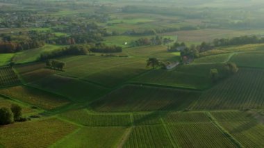 Bordeaux üzüm bağları, Bordeaux üzüm bağları, sonbaharda gün batımında Bordeaux üzüm bağları, Entre deux mers, Sainte-Croix-du-Mont, Gironde çevresindeki sonbahar manzaraları. Yüksek kaliteli video