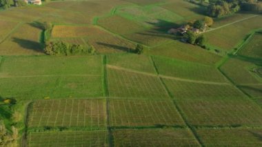 Bordeaux üzüm bağları, Bordeaux üzüm bağları, sonbaharda gün batımında Bordeaux üzüm bağları, Entre deux mers, Sainte-Croix-du-Mont, Gironde çevresindeki sonbahar manzaraları. Yüksek kaliteli video
