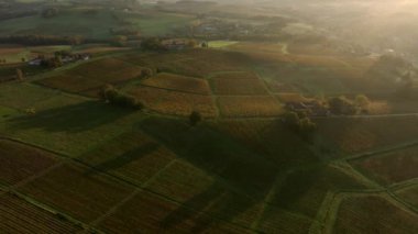 Bordeaux üzüm bağları, Bordeaux üzüm bağları, sonbaharda gün batımında Bordeaux üzüm bağları, Entre deux mers, Sainte-Croix-du-Mont, Gironde çevresindeki sonbahar manzaraları. Yüksek kaliteli video