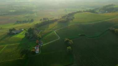 Bordeaux üzüm bağları, Bordeaux üzüm bağları, sonbaharda gün batımında Bordeaux üzüm bağları, Entre deux mers, Sainte-Croix-du-Mont, Gironde çevresindeki sonbahar manzaraları. Yüksek kaliteli video