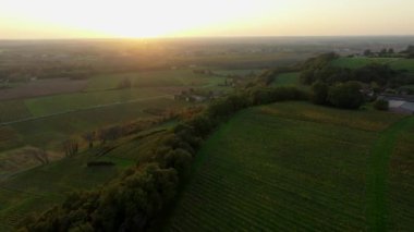 Bordeaux üzüm bağları, Bordeaux üzüm bağları, sonbaharda gün batımında Bordeaux üzüm bağları, Entre deux mers, Sainte-Croix-du-Mont, Gironde çevresindeki sonbahar manzaraları. Yüksek kaliteli video