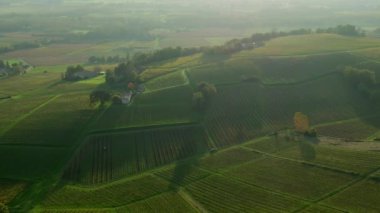 Bordeaux üzüm bağları, Bordeaux üzüm bağları, sonbaharda gün batımında Bordeaux üzüm bağları, Entre deux mers, Sainte-Croix-du-Mont, Gironde çevresindeki sonbahar manzaraları. Yüksek kaliteli video
