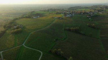 Bordeaux üzüm bağları, Bordeaux üzüm bağları, sonbaharda gün batımında Bordeaux üzüm bağları, Entre deux mers, Sainte-Croix-du-Mont, Gironde çevresindeki sonbahar manzaraları. Yüksek kaliteli video
