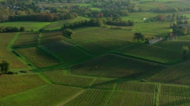 Bordeaux üzüm bağları, Bordeaux üzüm bağları, sonbaharda gün batımında Bordeaux üzüm bağları, Entre deux mers, Sainte-Croix-du-Mont, Gironde çevresindeki sonbahar manzaraları. Yüksek kaliteli video