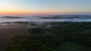 Bordeaux üzüm bağının ilkbaharda sis altındaki hava manzarası, Loupiac, Gironde, Fransa. Yüksek kalite 4k görüntü