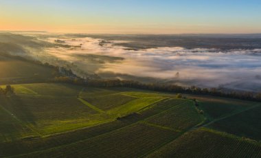 Fransa, Gironde, Langoiran, Entre-Deux-Mers, Bordeaux üzüm bağlarındaki Premieres Cotes de Bordeaux üzüm bağının hava manzarası, Garonne nehri üzerindeki sis ile birlikte gün doğumunda. Yüksek kalite fotoğraf