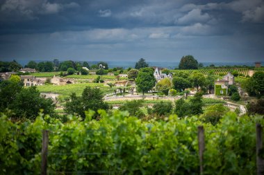 AOC Saint-Emilion 'da güzel Bordeaux üzüm bağları. Etrafı yeşilliklerle çevrili olan Chateau Auzone, dramatik bulutlarla dolu gökyüzünün ortasında kırsal bir cazibe sergiliyor..