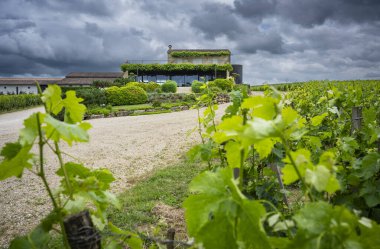 Saint-Emilion 'daki Pavie-Macquin Şatosu' nun, dramatik bulutlarla dolu bir gökyüzünün altında, canlı bağlarla çevrili, görkemli manzarasını keşfediyorum..