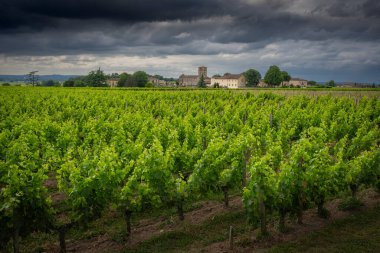 Bereketli üzüm bağları, dramatik bulutlu bir gökyüzünün altında Saint-Emilion, Bordeaux manzarası boyunca uzanır. Tarihi kilise, ilkbaharın güzelliği boyunca gururla durur..