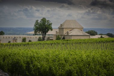Baharda Saint-Emilion 'daki Chateau Belair-Monnange' da verimli sarmaşıklar ortaya çıkar. Bordeaux üzüm bağının üzerinde kara bulutlar beliriyor, dingin güzelliğini ve zengin manzarasını geliştiriyor..