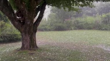 Haziranda dolu fırtınası, yıldırımlar ve dolu fırtınalarıyla dolu yağması, yoğun buz kristalleri kalkanı ile kaplı zemini terk etmesi, yüksek kalite 4K görüntü.