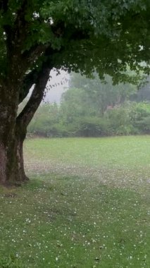 Haziranda dolu fırtınası, yıldırımlar ve dolu fırtınalarıyla dolu yağması, yoğun buz kristalleri kalkanı ile kaplı zemini terk etmesi, yüksek kalite 4K görüntü.
