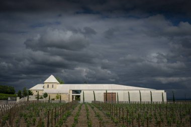 Baharda Saint-Emilion 'daki Chateau Belair-Monnange' da verimli sarmaşıklar ortaya çıkar. Bordeaux üzüm bağının üzerinde kara bulutlar beliriyor, dingin güzelliğini ve zengin manzarasını geliştiriyor..
