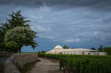 Baharda Saint-Emilion 'daki Chateau Belair-Monnange' da verimli sarmaşıklar ortaya çıkar. Bordeaux üzüm bağının üzerinde kara bulutlar beliriyor, dingin güzelliğini ve zengin manzarasını geliştiriyor..