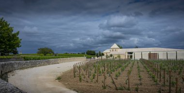 Baharda Saint-Emilion 'daki Chateau Belair-Monnange' da verimli sarmaşıklar ortaya çıkar. Bordeaux üzüm bağının üzerinde kara bulutlar beliriyor, dingin güzelliğini ve zengin manzarasını geliştiriyor..