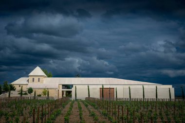 Baharda Saint-Emilion 'daki Chateau Belair-Monnange' da verimli sarmaşıklar ortaya çıkar. Bordeaux üzüm bağının üzerinde kara bulutlar beliriyor, dingin güzelliğini ve zengin manzarasını geliştiriyor..