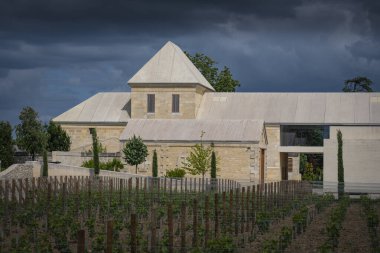 Baharda Saint-Emilion 'daki Chateau Belair-Monnange' da verimli sarmaşıklar ortaya çıkar. Bordeaux üzüm bağının üzerinde kara bulutlar beliriyor, dingin güzelliğini ve zengin manzarasını geliştiriyor..