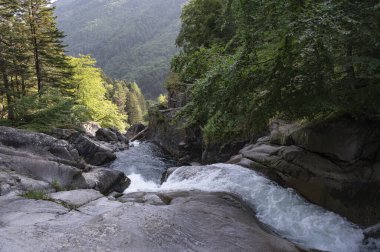 Pirenelerdeki yemyeşil ağaçların çerçevelediği pürüzsüz kayaların üzerinden büyüleyici bir şelale akar ve Pont dEspagne yakınlarındaki çevrenin huzur dolu özünü yakalar..