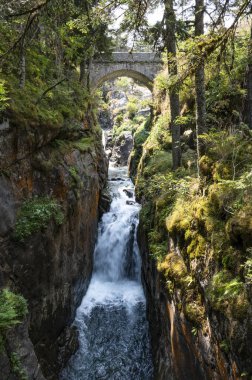 Pirenelerdeki yemyeşil ağaçların çerçevelediği pürüzsüz kayaların üzerinden büyüleyici bir şelale akar ve Pont dEspagne yakınlarındaki çevrenin huzur dolu özünü yakalar..