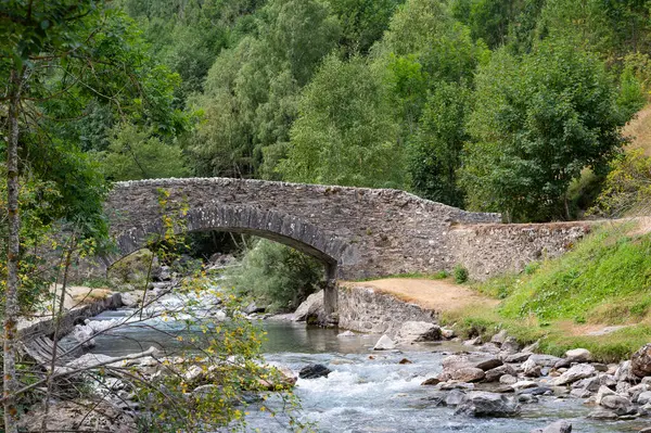 Pireneler 'deki akan Gavarnie deresini çevreleyen taştan bir köprü, canlı ağaçlar ve yüksek dağlarla çevrili, sabahın erken saatlerinde huzurlu ve pitoresk bir atmosfer yaratıyor..