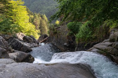 Pirenelerdeki yemyeşil ağaçların çerçevelediği pürüzsüz kayaların üzerinden büyüleyici bir şelale akar ve Pont dEspagne yakınlarındaki çevrenin huzur dolu özünü yakalar..