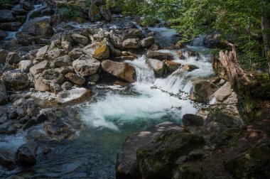 Kristal berrak su, Pireneler 'in dağlanmış bölgesinde canlı yeşil ağaçlarla çevrili sakin bir derede kayaların üzerinden akar ve doğal güzellikleri yakalar..