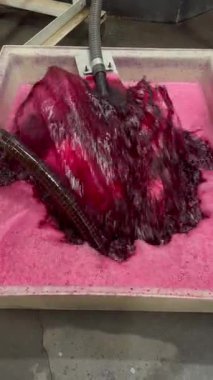 Şarap fabrikası, şarap mahzeninde şarap üretirken üzüm suyu havası, Bordeaux Vineyard, Fransa. Yüksek kalite 4k görüntü