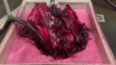 Şarap fabrikası, şarap mahzeninde şarap üretirken üzüm suyu havası, Bordeaux Vineyard, Fransa. Yüksek kalite 4k görüntü