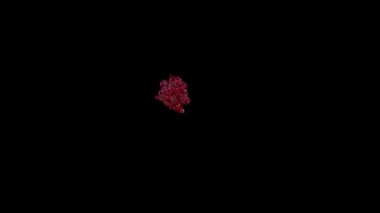 Alfa kanalı (şeffaf arkaplan) ile Kan simülasyonunun 3d canlandırması)