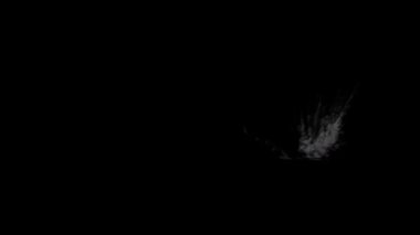 Toz parçacığı simülasyonunun alfa kanalı (şeffaf arkaplan)