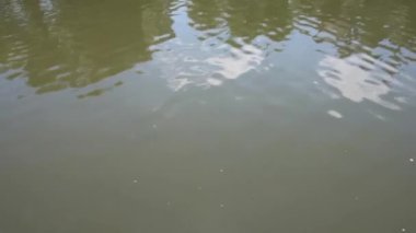 Dalgalar ve dalgalarla dolu su yüzeyi