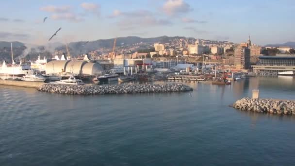 Veduta Del Porto Marsiglia Francia Tramonto — Video Stock