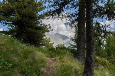 Monte Rosa Alplerdeki en büyük dağ yığınıdır.