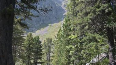 Monte Rosa Alplerdeki en büyük dağ yığınıdır.
