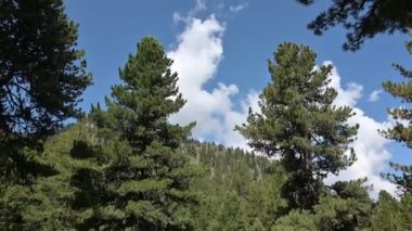 Monte Rosa Alplerdeki en büyük dağ yığınıdır.