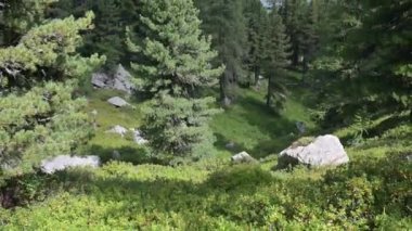 Monte Rosa Alplerdeki en büyük dağ yığınıdır.