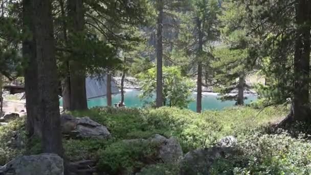 人工湖前悬吊桁架房屋遮蔽物 — 图库视频影像