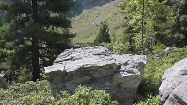 Monte Rosa Macizo Montaña Más Grande Los Alpes — Vídeos de Stock