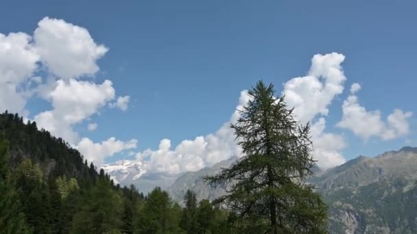 Monte Rosa Est Grand Massif Montagneux Des Alpes — Video