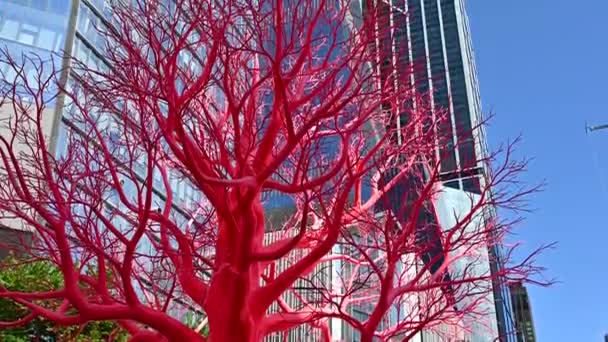 Rött Träd Med Skyskrapor Bakgrund — Stockvideo