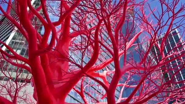 Árvore Vermelha Com Arranha Céus Fundo — Vídeo de Stock