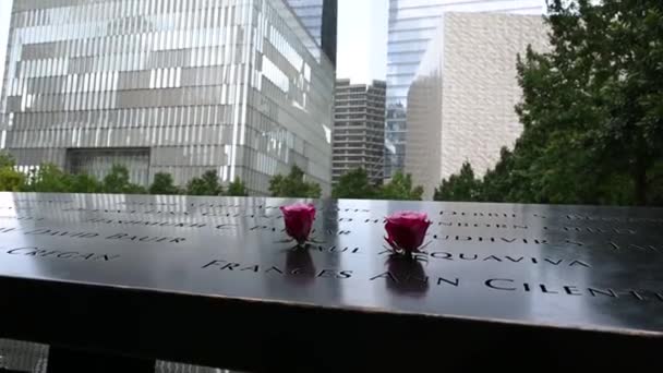 Gedung World Trade Center — Stok Video
