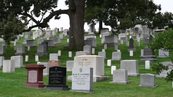Military Cemetery Created Civil War — Stock Video