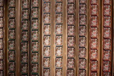 Portekiz Sardalyalarının Fantastik Dünyası