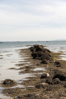 Gallway İrlanda 'daki beyaz kumsal